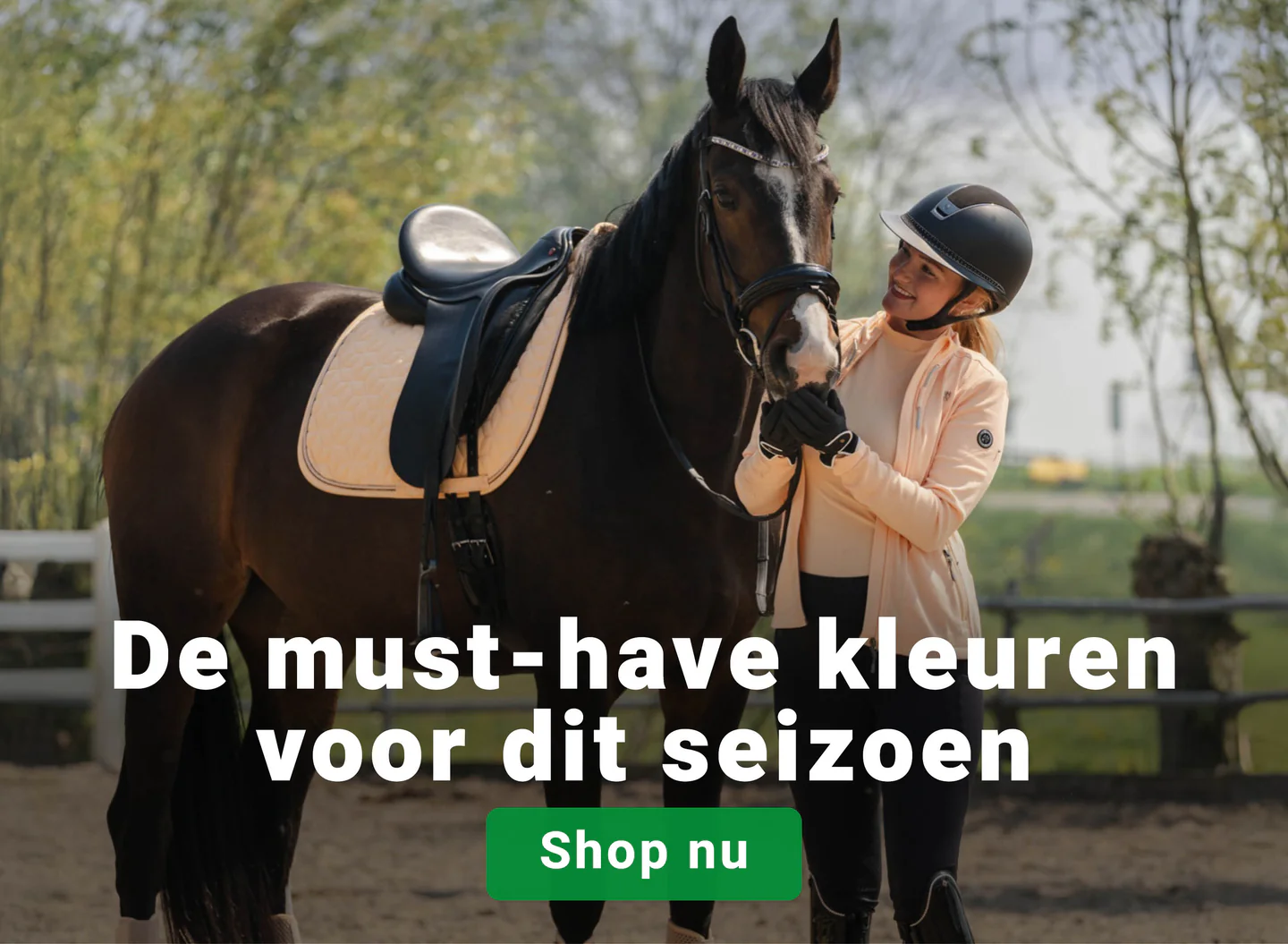 Alles voor paard en ruiter