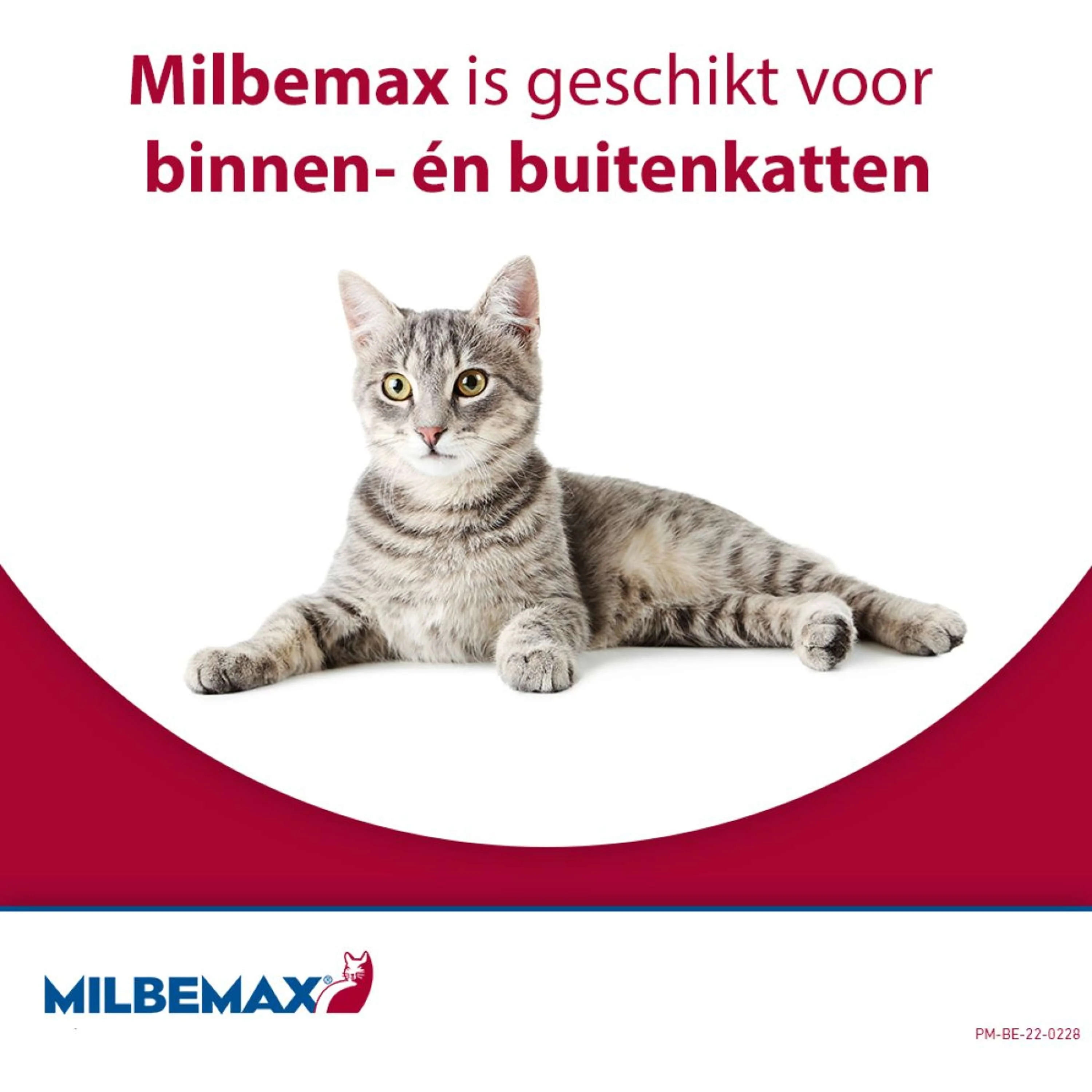 Productafbeelding 3