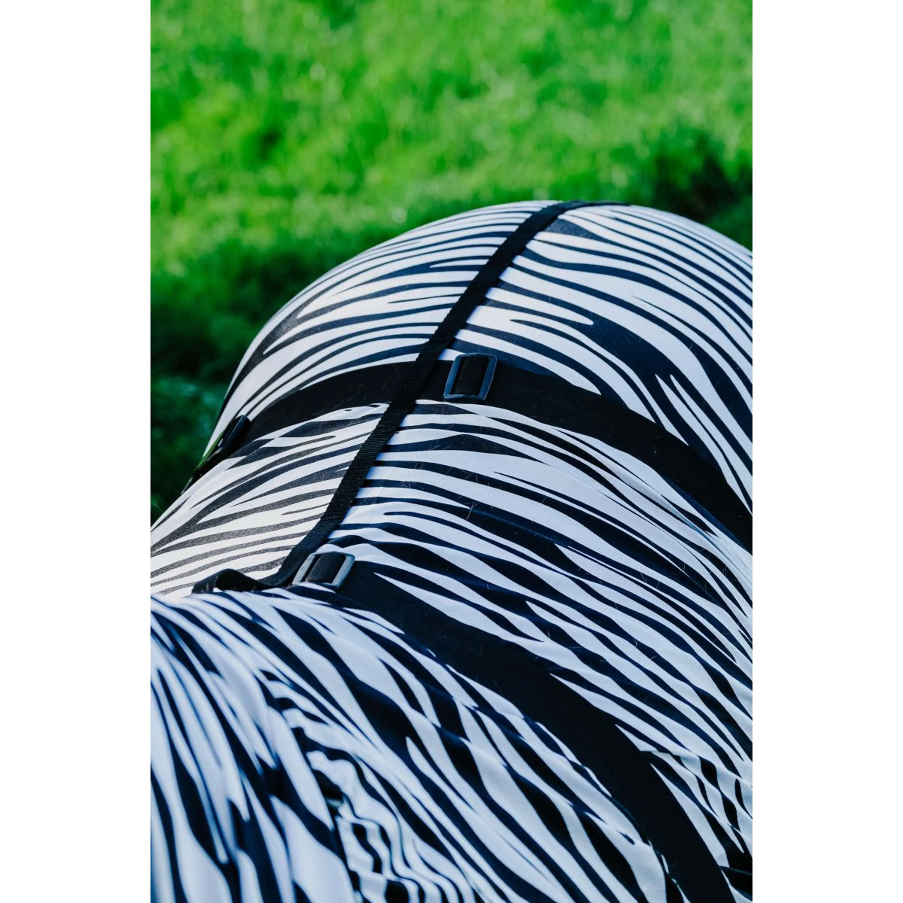 Productafbeelding 4