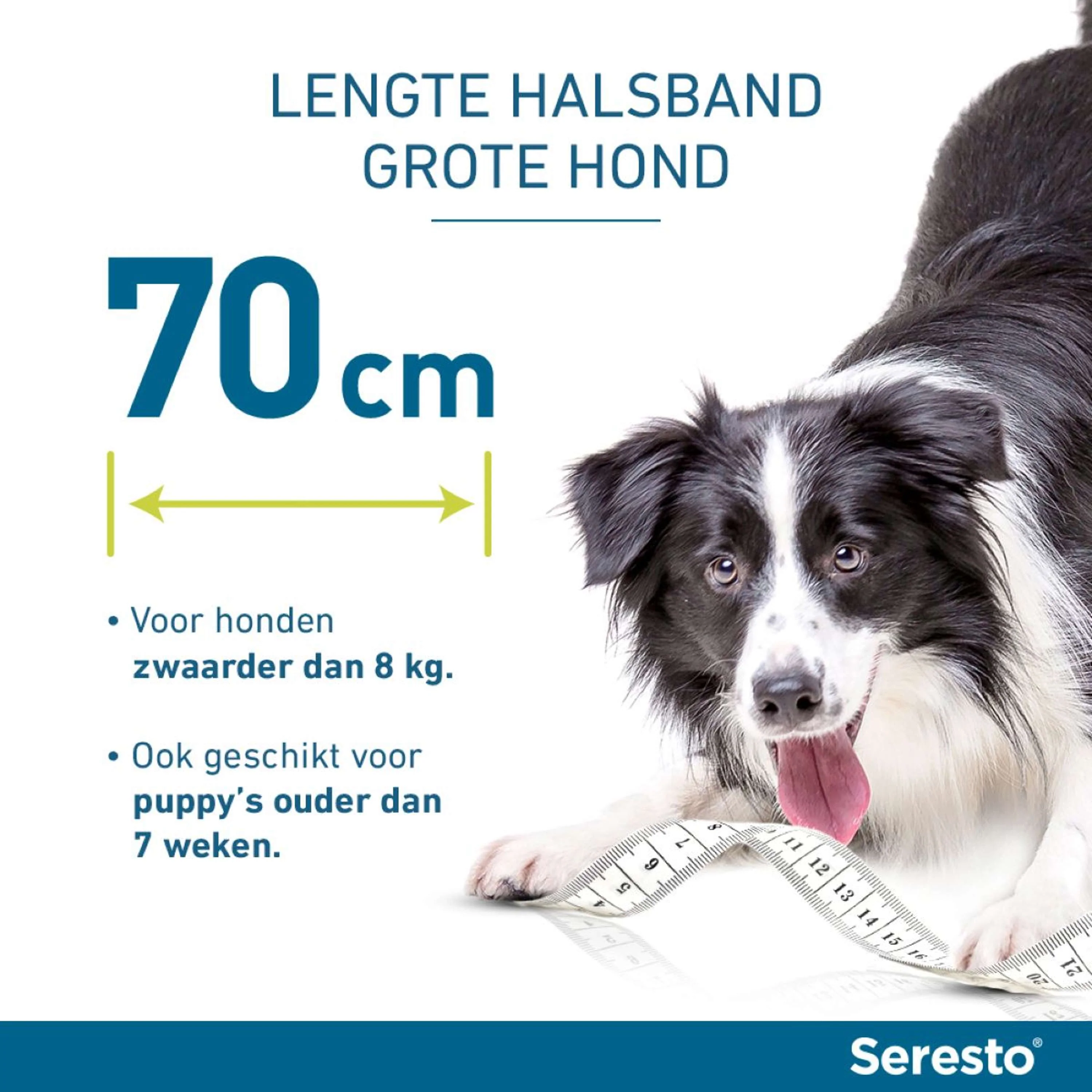 Productafbeelding 3
