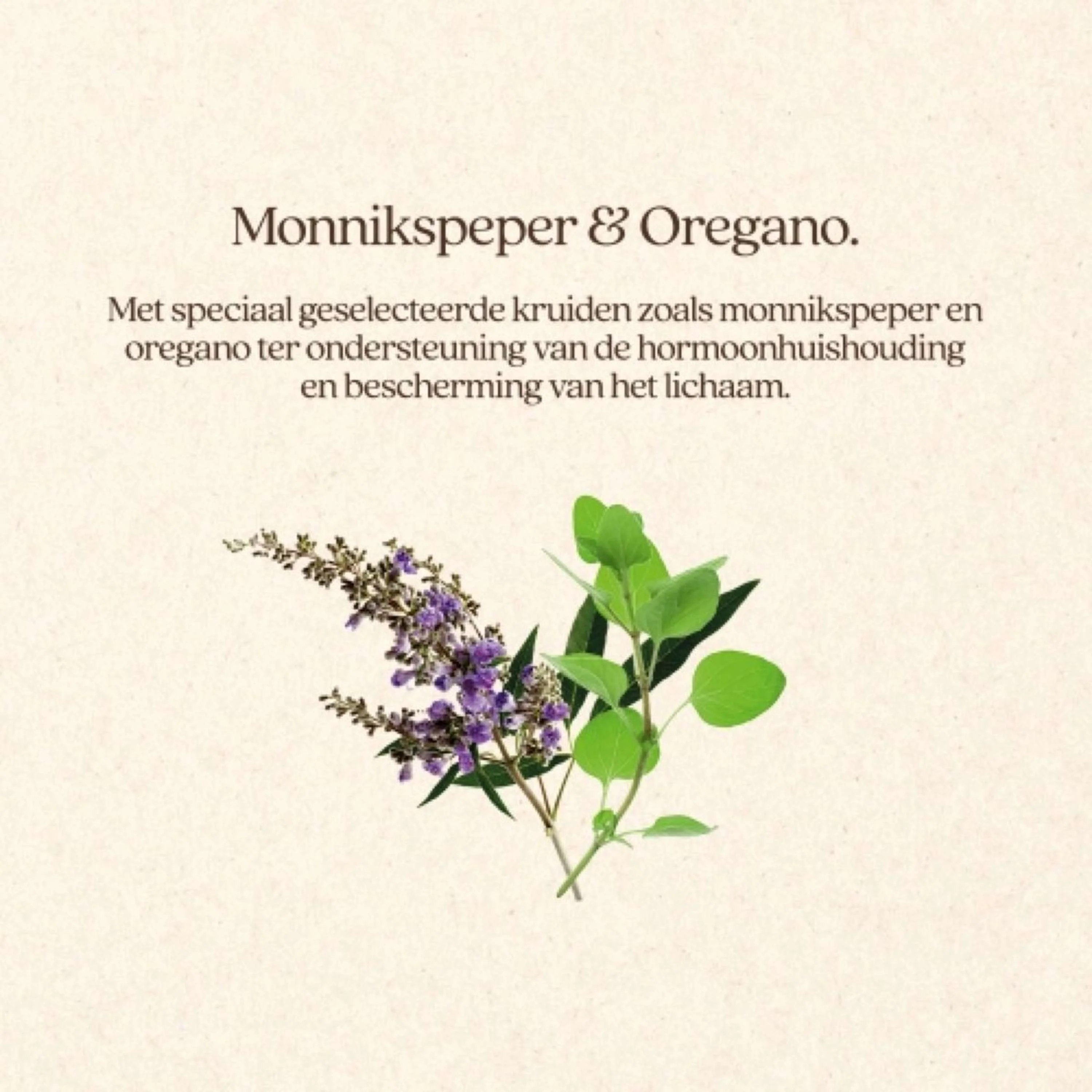 Productafbeelding 5