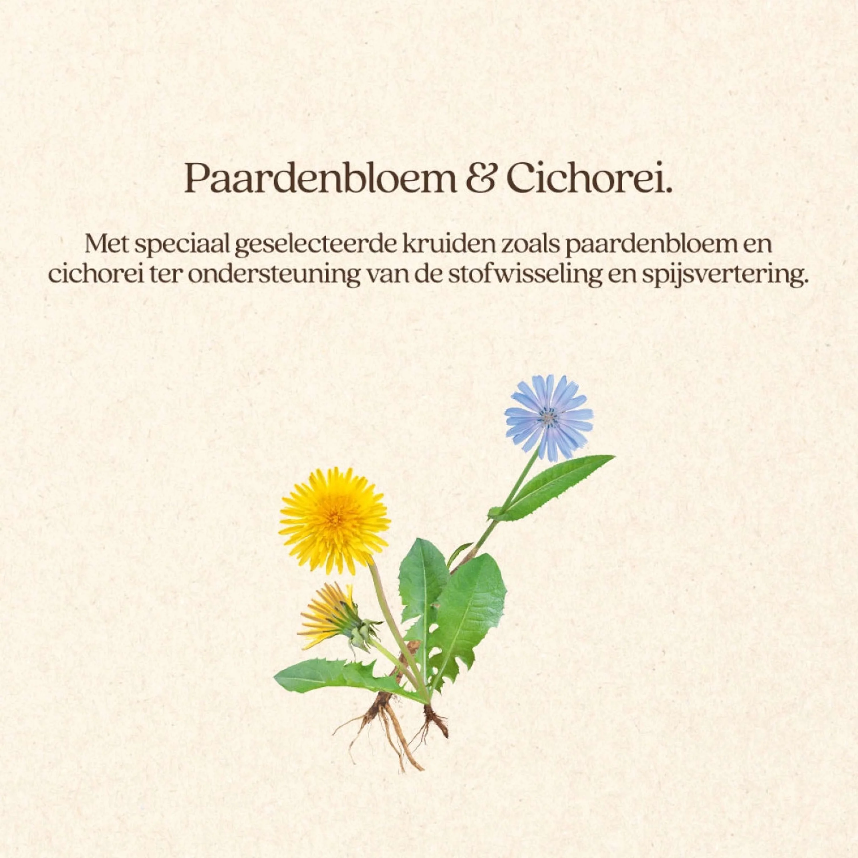 Productafbeelding 4